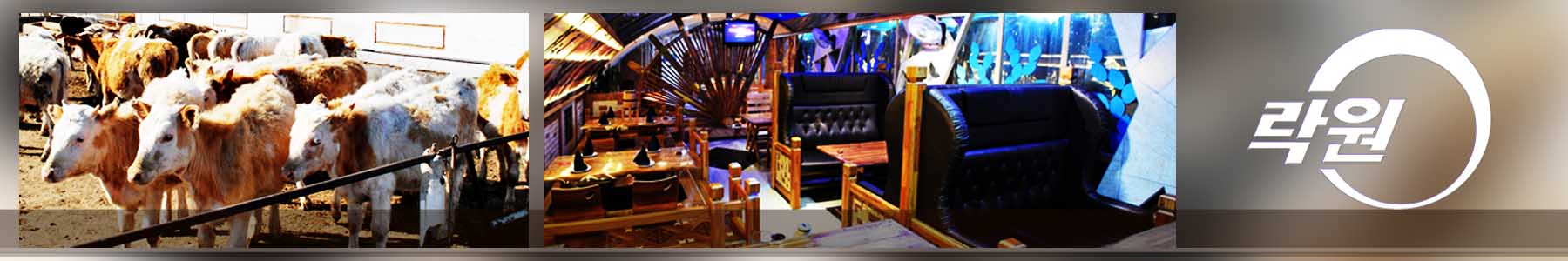 락원무역총회사