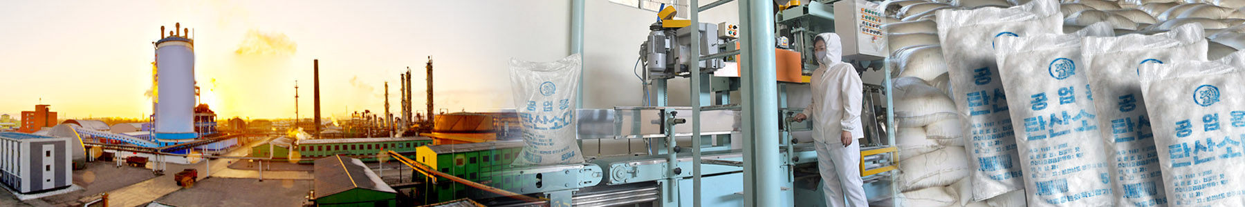 남흥청년화학련합기업소