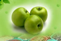 북청강무역회사