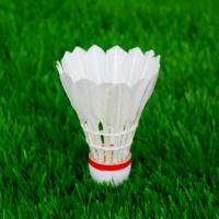 평양체육기자재공장