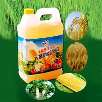 락원무역총회사