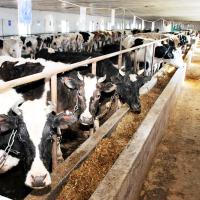 락원무역총회사