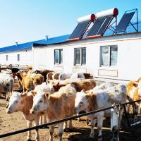 락원무역총회사