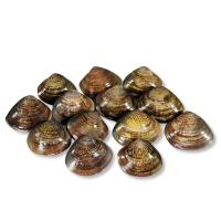 조선수양산무역회사