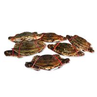 조선수양산무역회사