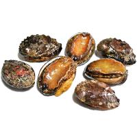 조선수양산무역회사