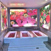 조선미향선박무역회사